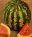 Seminte Pepene verde Crimson Sweet